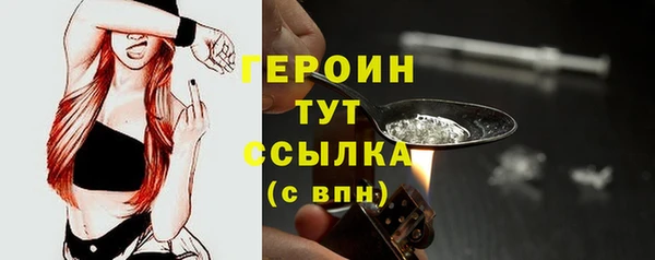 молекула духа Богданович